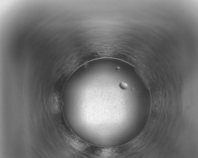 X0000060230130200510311557