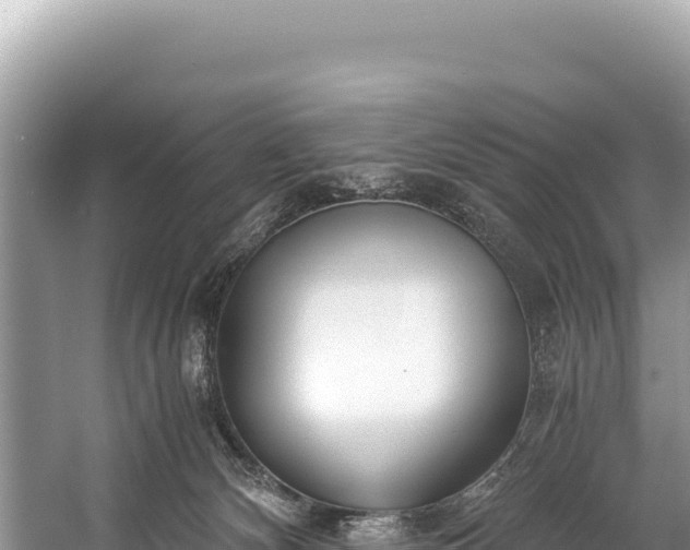 X0000060230132200510311557