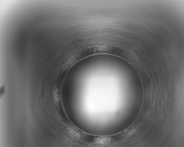 X0000060230135200510311557