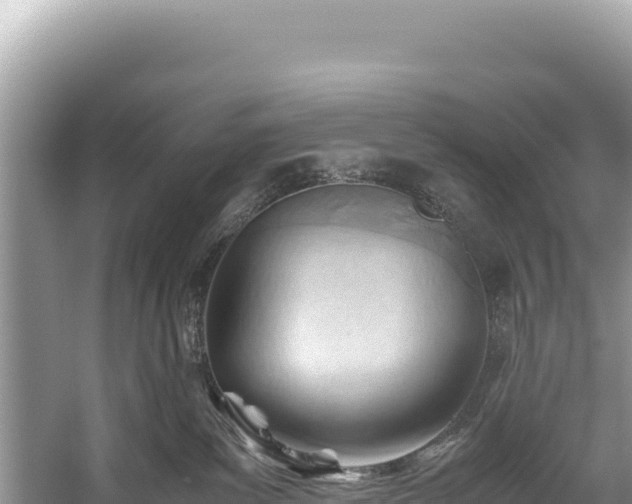 X0000060230139200510311557