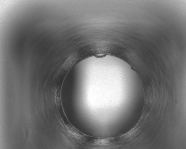 X0000060230140200510311557