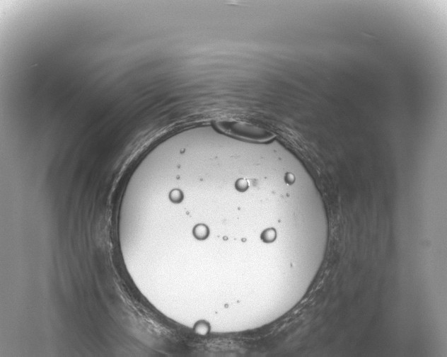 X0000060230146200510311556