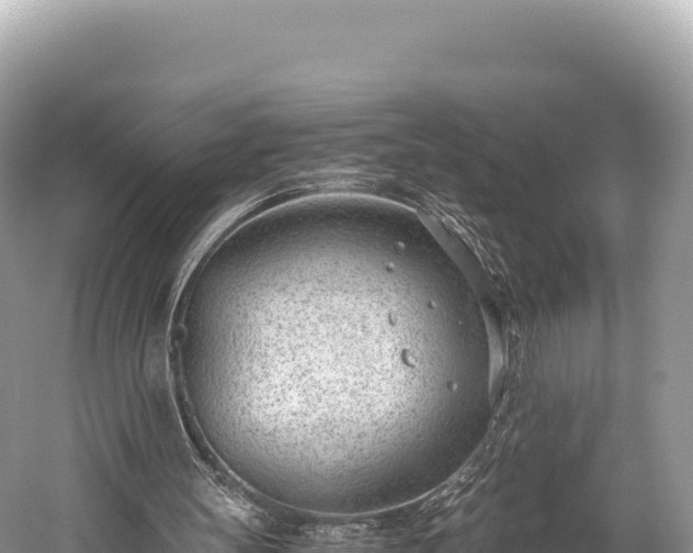 X0000060230147200510311556