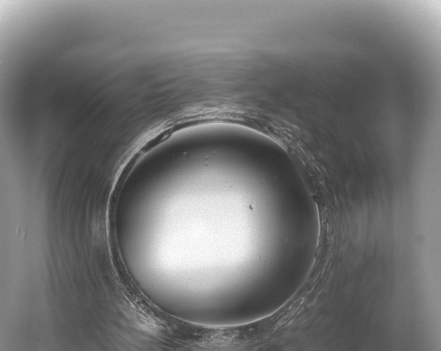 X0000060230148200510311556