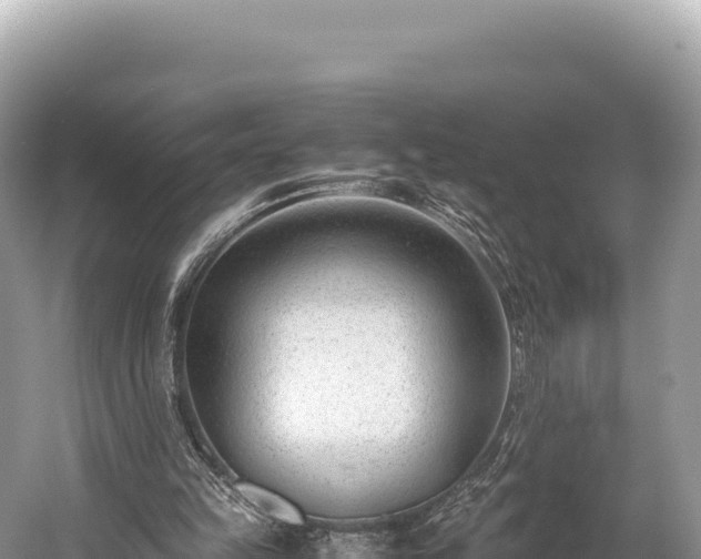 X0000060230149200510311556