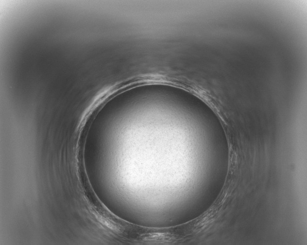 X0000060230151200510311556