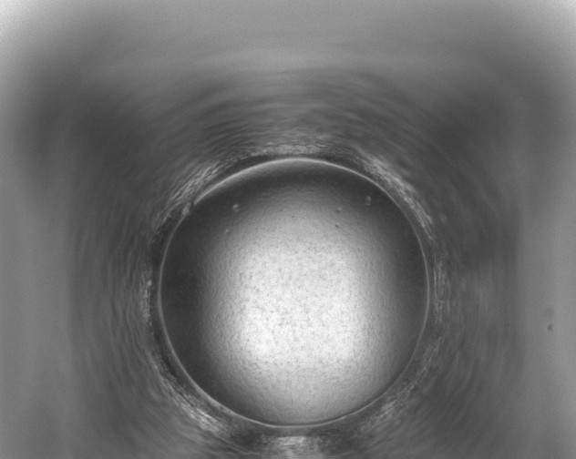 X0000060230153200510311556