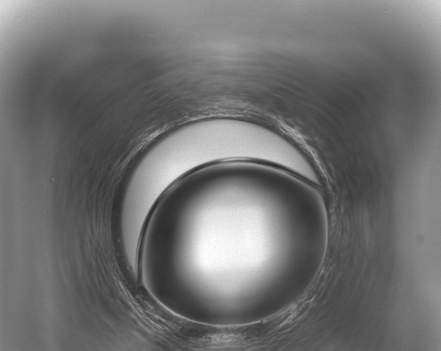 X0000060230154200510311556