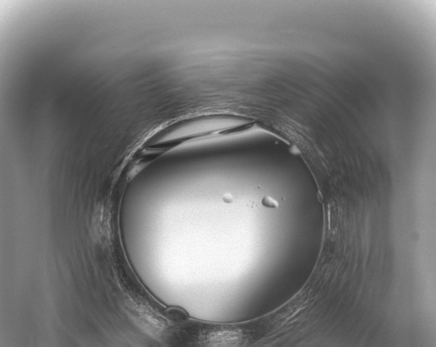 X0000060230156200510311556