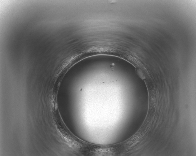 X0000060230160200510311556