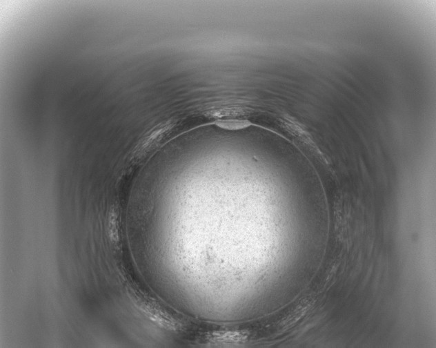 X0000060230161200510311556