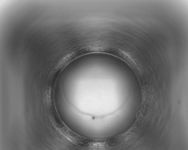 X0000060230163200510311557