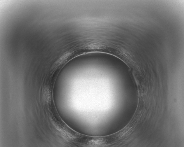 X0000060230164200510311557