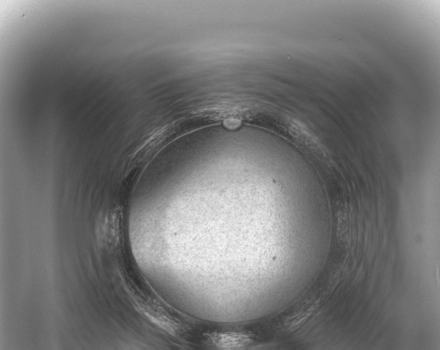 X0000060230165200510311557