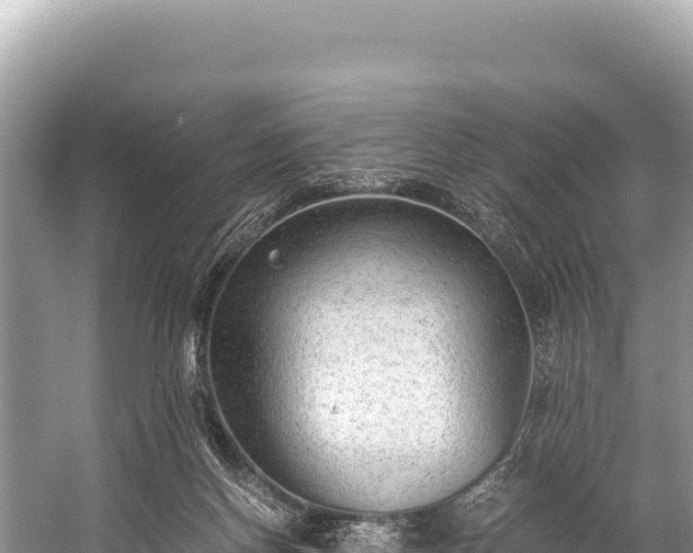 X0000060230166200510311557