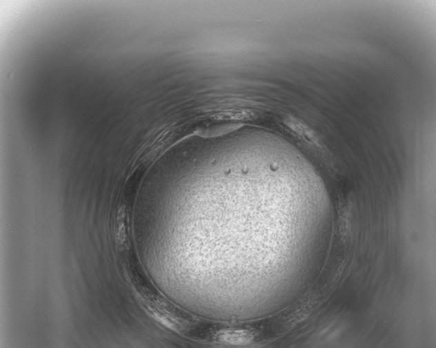 X0000060230169200510311557