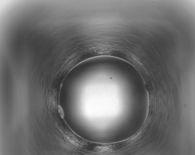 X0000060230170200510311557