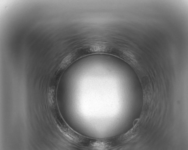 X0000060230171200510311557