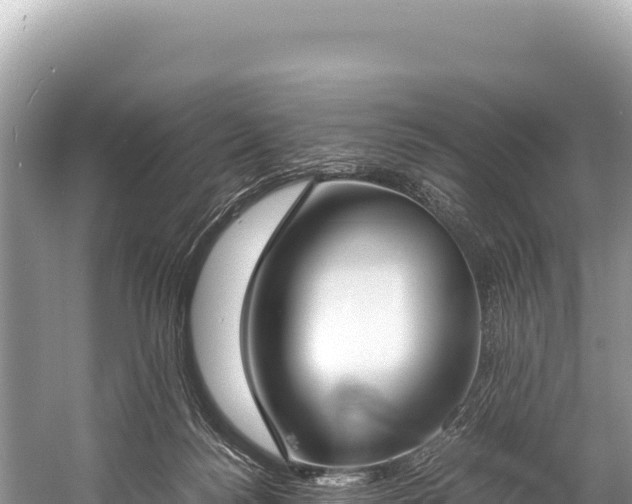 X0000060230172200510311557