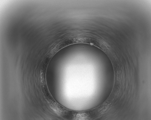 X0000060230173200510311557