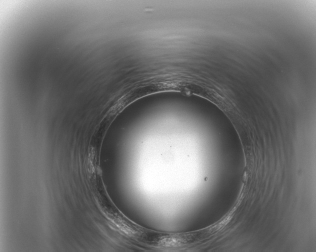 X0000060230174200510311557