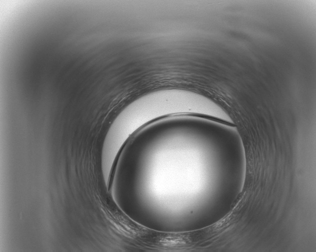 X0000060230175200510311557