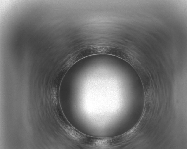 X0000060230178200510311557