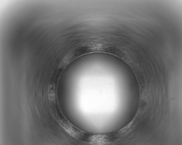 X0000060230179200510311557