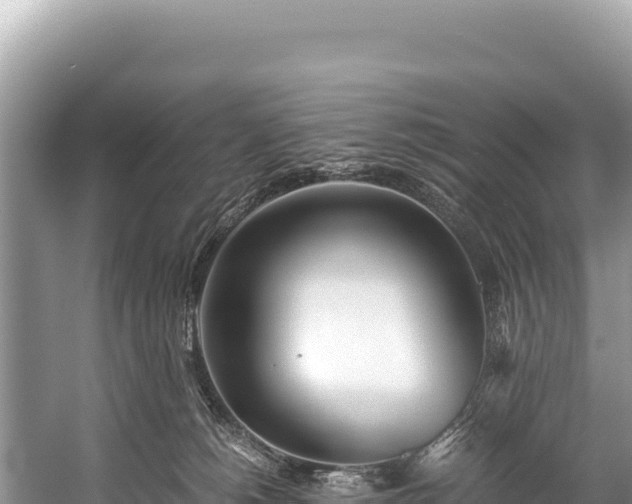 X0000060230180200510311557