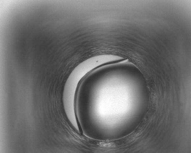 X0000060230185200510311557