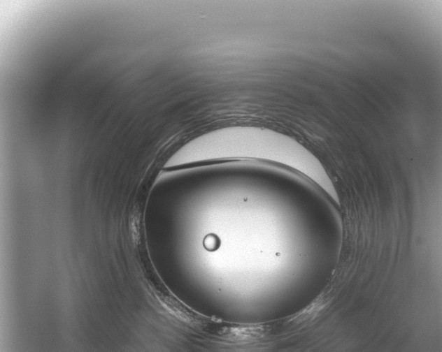 X0000060230188200510311557