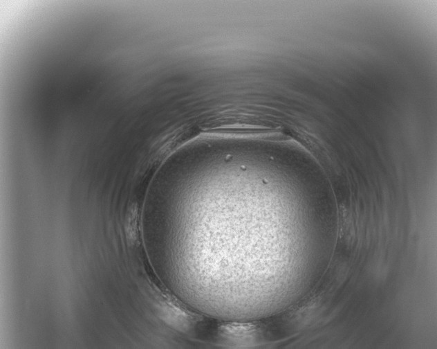 X0000060230189200510311557