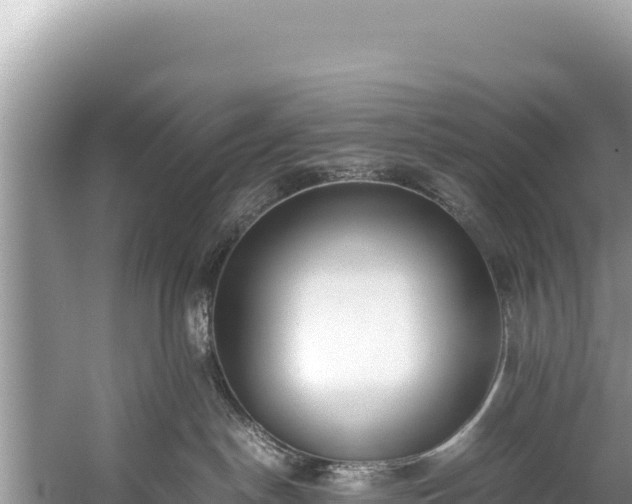 X0000060230190200510311557