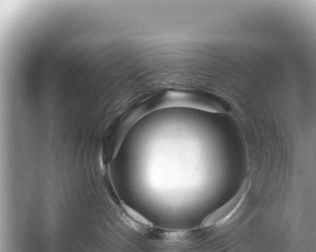 X0000060230192200510311557