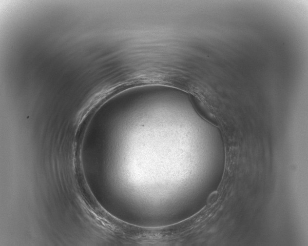 X0000060230194200510311556