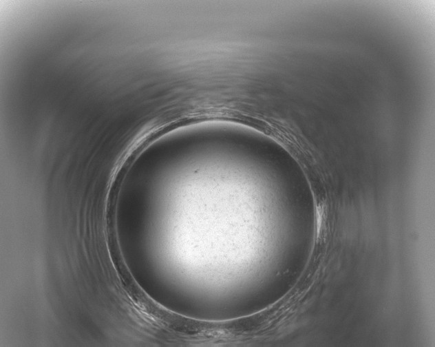 X0000060230195200510311556