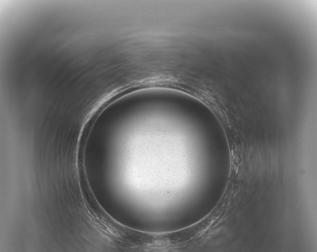 X0000060230196200510311556