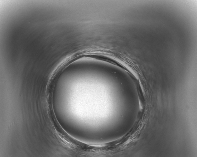 X0000060230197200510311556