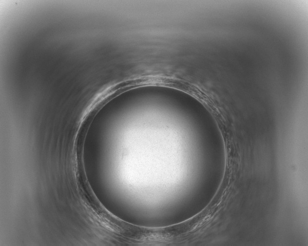 X0000060230198200510311556