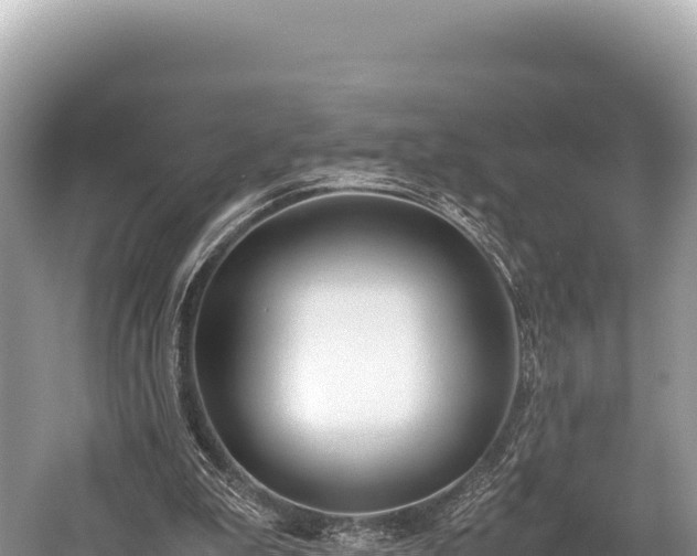 X0000060230199200510311556