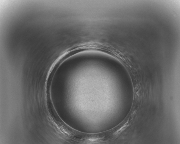 X0000060230200200510311556