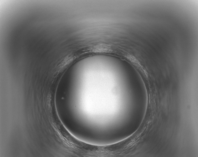 X0000060230201200510311556