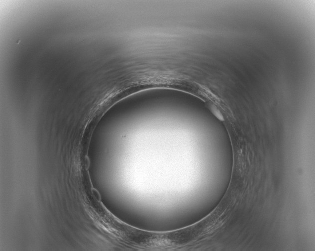 X0000060230203200510311556