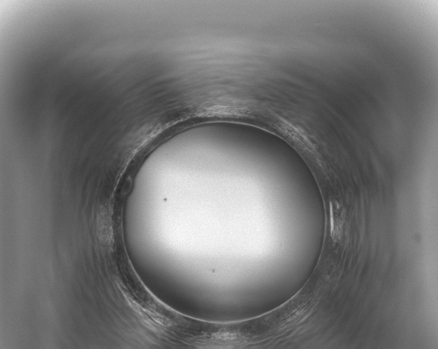 X0000060230204200510311556