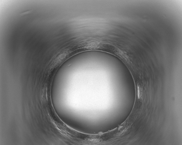 X0000060230205200510311556