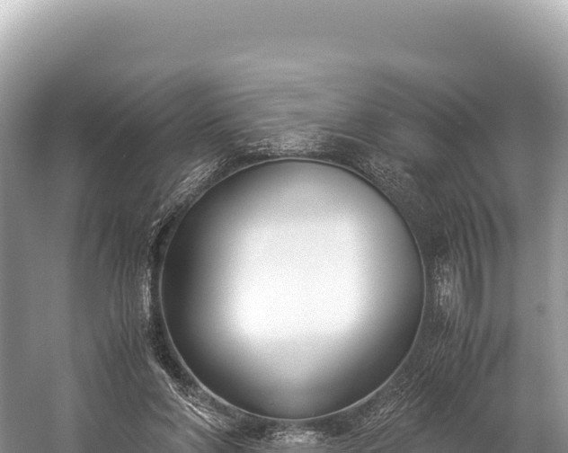 X0000060230206200510311556