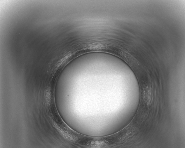 X0000060230208200510311556