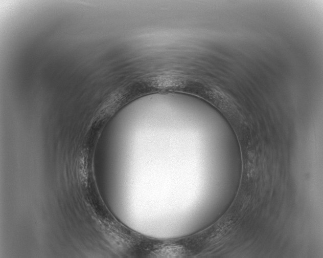 X0000060230210200510311556