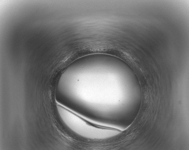 X0000060230211200510311556