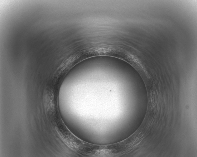 X0000060230212200510311556